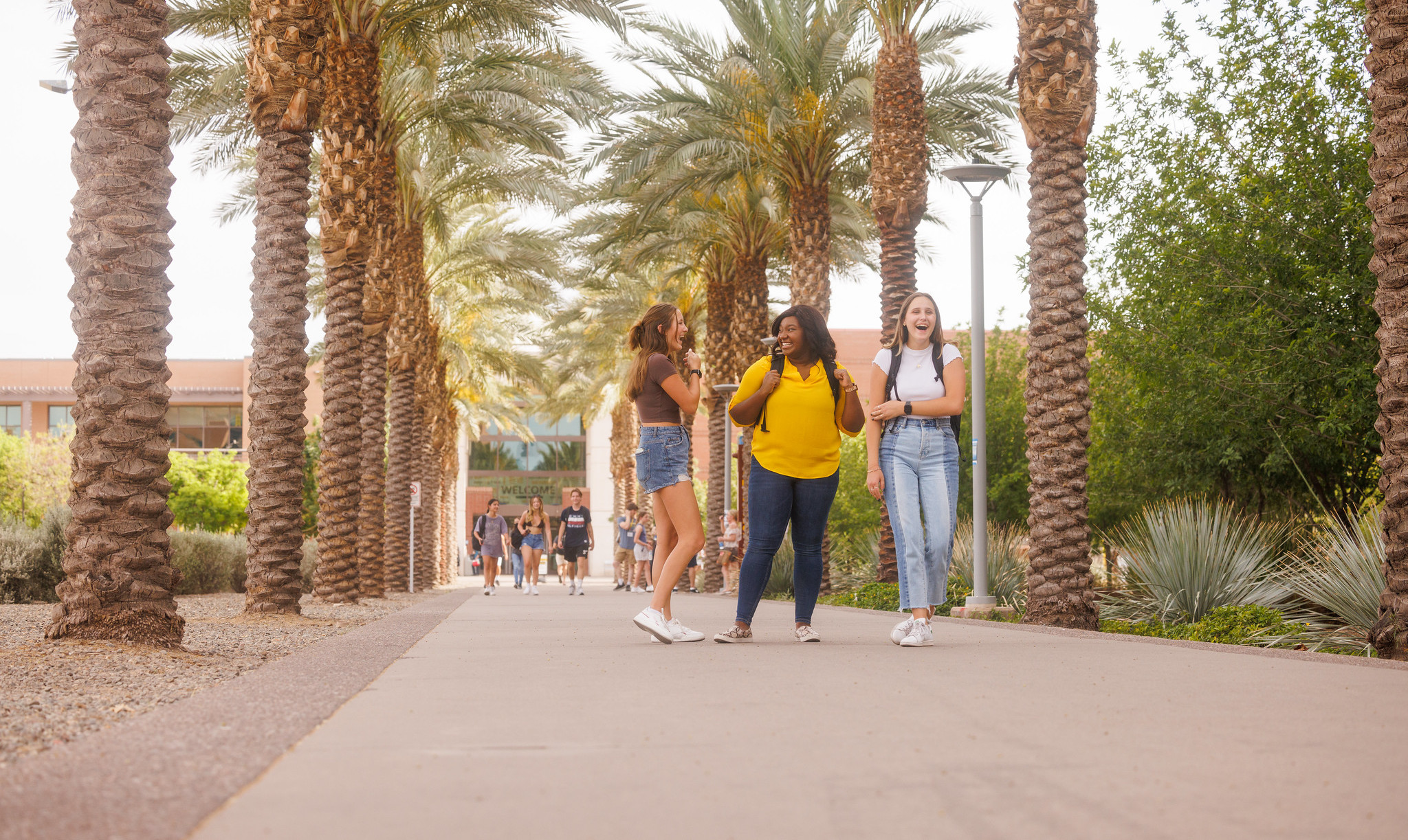 three girls talking to each other on palm walk in Tempe campus
