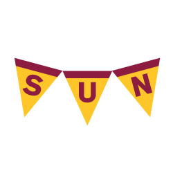 SUN pennant icon