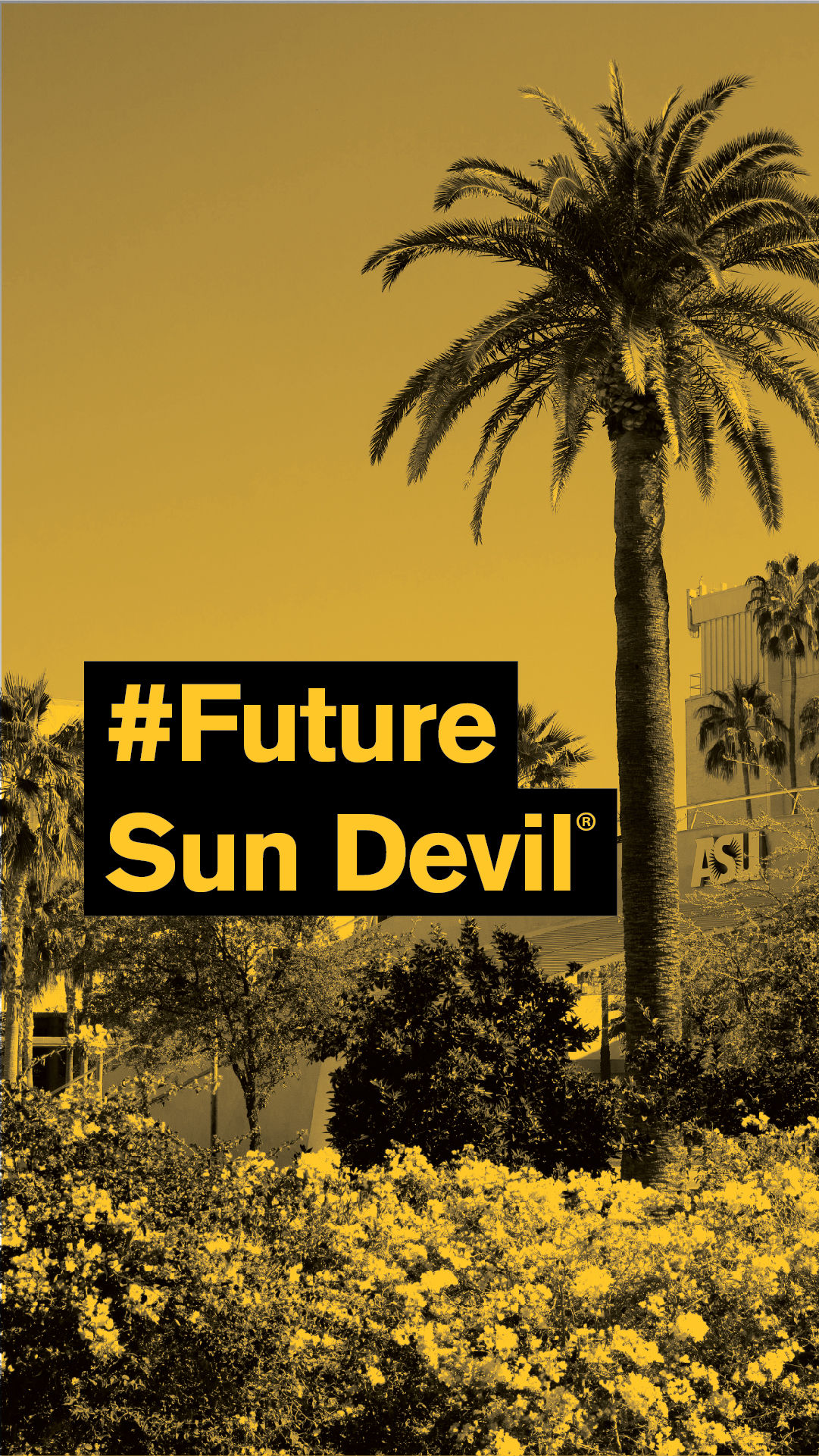 future sun devil wallpaper