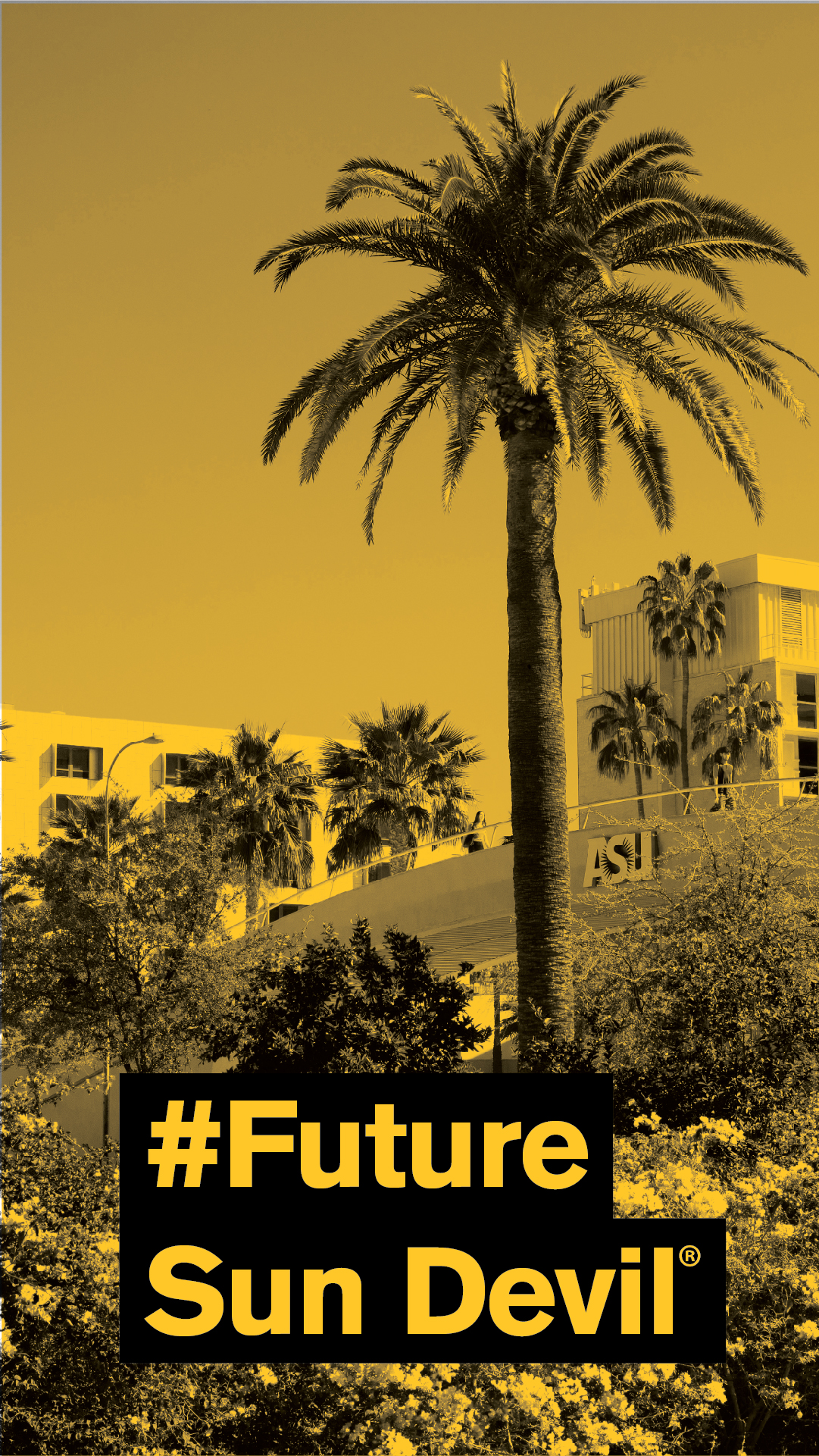 future sun devil wallpaper